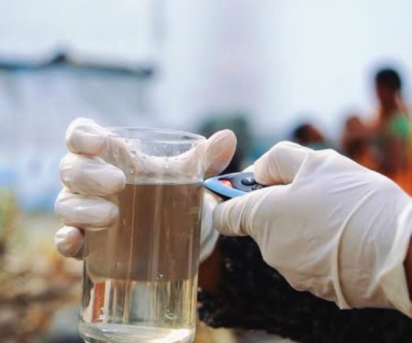 IMG_20240103_214406-1